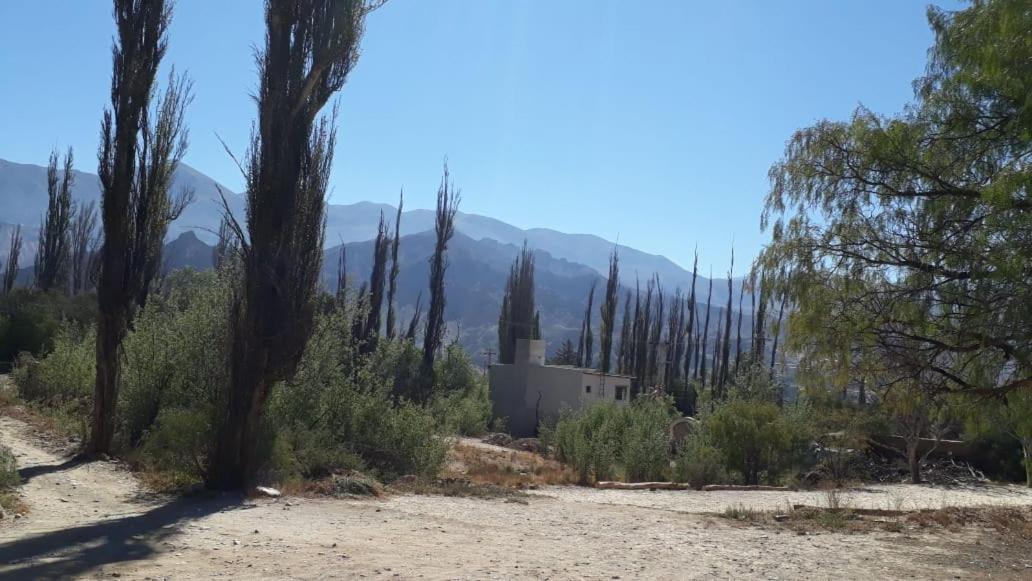 Cabanas La Esther Tilcara Ruang foto